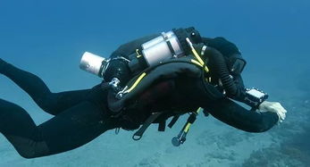 揭秘《藍(lán)色星球2》中的無(wú)氣泡潛水設(shè)備 科技與自然的完美融合