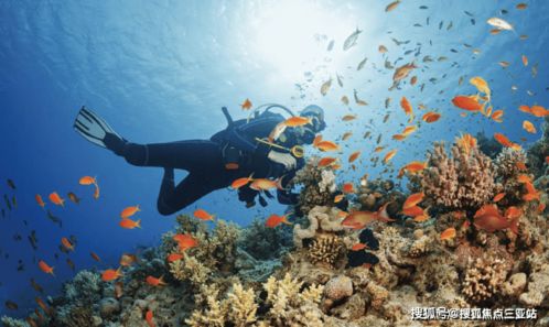 海棠·泰岳府 溫泉入戶，盡享康養(yǎng)度假雅居生活