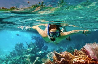 探索深海奧秘 潛水設備的演進與選擇指南